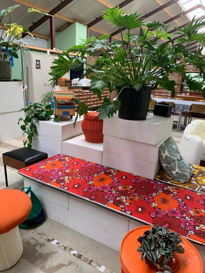 Bed and Breakfast Het Lage Noorden Marrum Екстер'єр фото