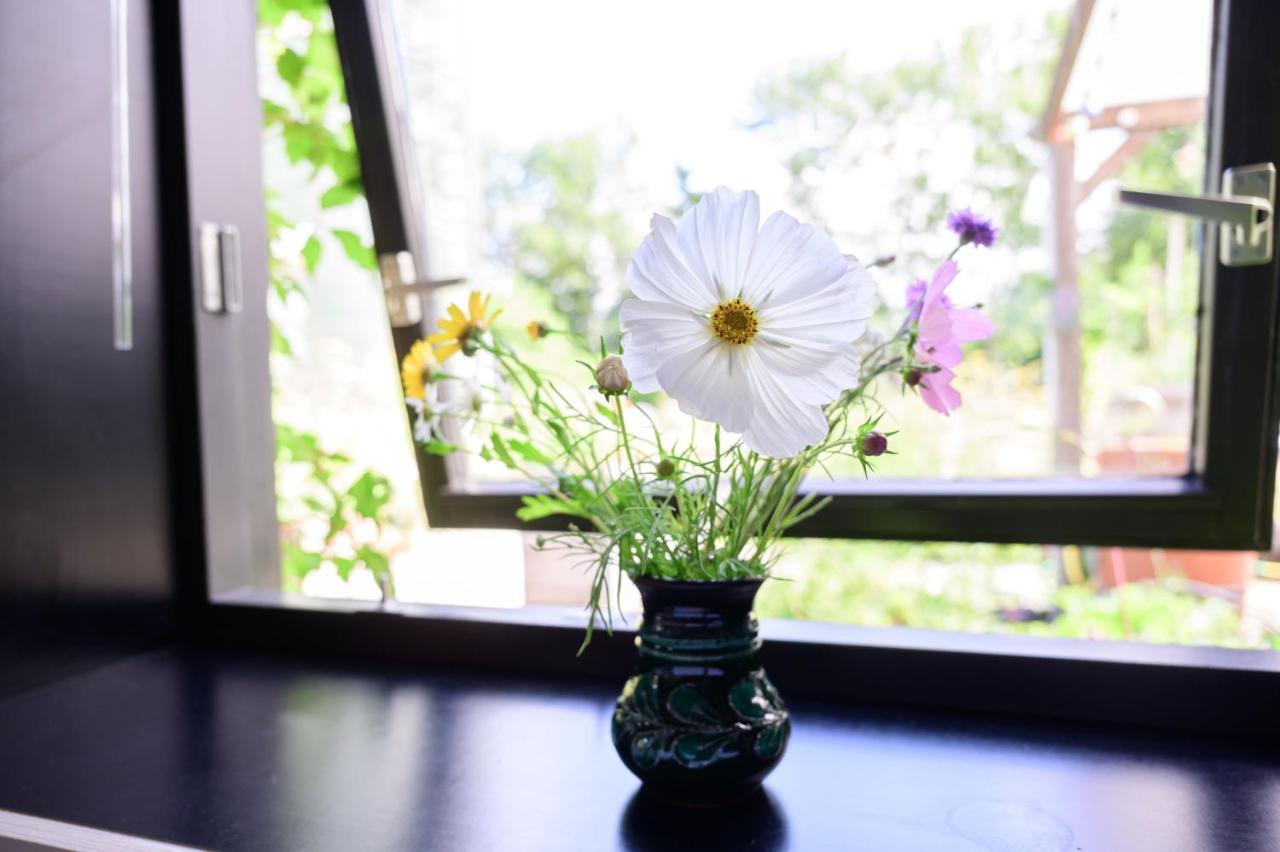 Bed and Breakfast Het Lage Noorden Marrum Екстер'єр фото